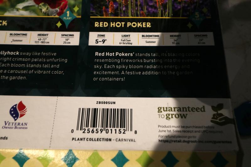 Review photo 2.