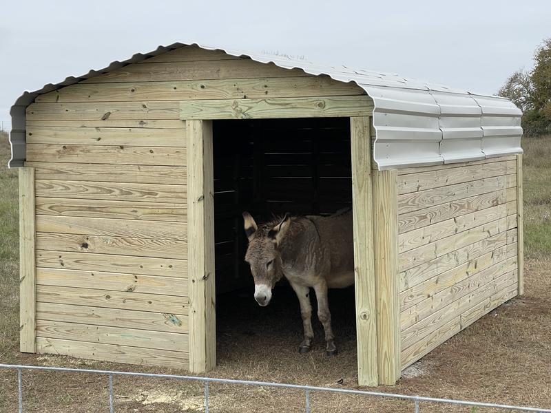 I reinforced the structure with treated lumber and added paneling for my donkeys.