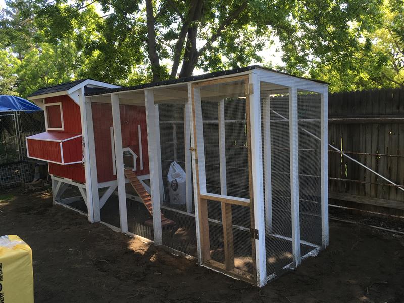We extended this hardware cloth from the base of the coop and run out about 2 ft. to keep the predators from digging under the coop to eat the chickens. We also used it for the sliding wood windows.