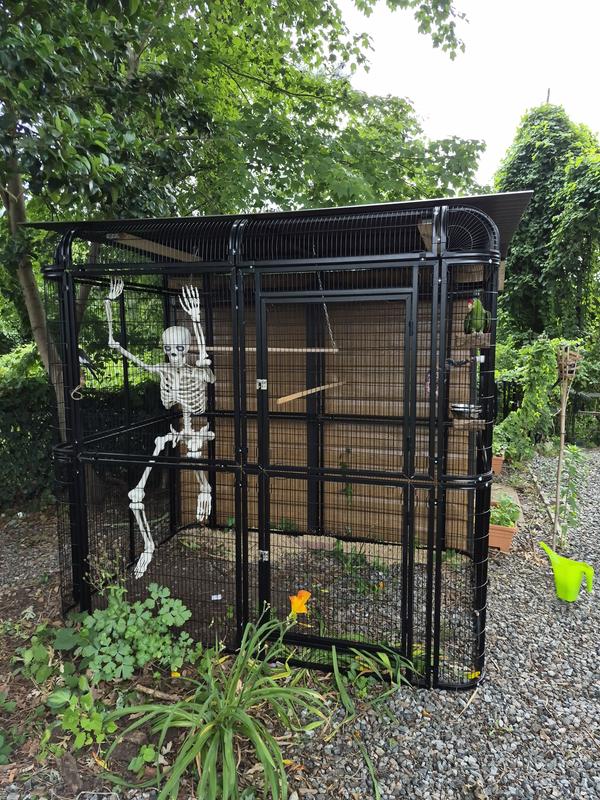Outdoir aviary, we installed wire in three strands bottom 18"