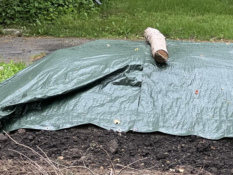 Tarps protecting topsoil from rain!