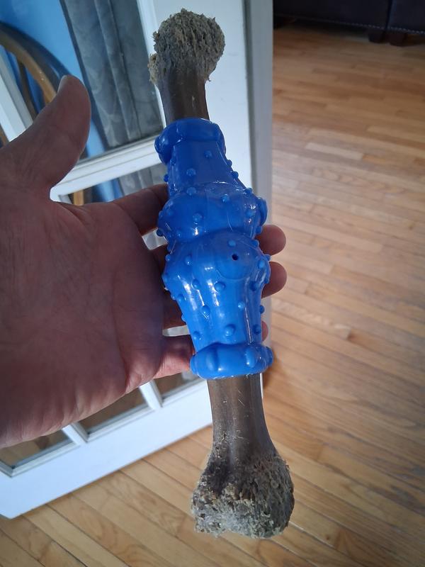 Review photo 1.
