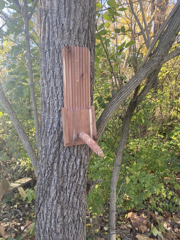 “Tree has a pee pee”