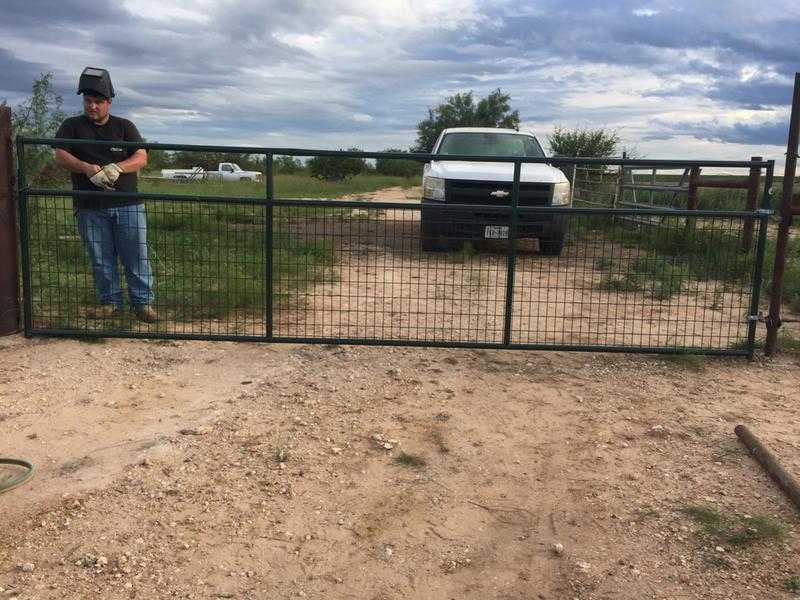 Our new gate from Tractor Supply.