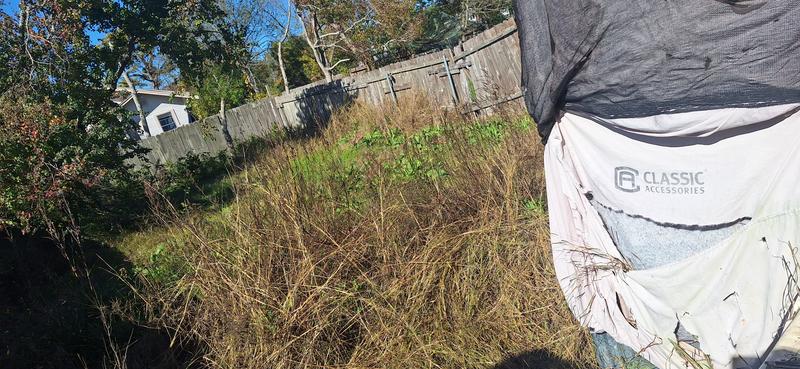 Before after only 2 hrs