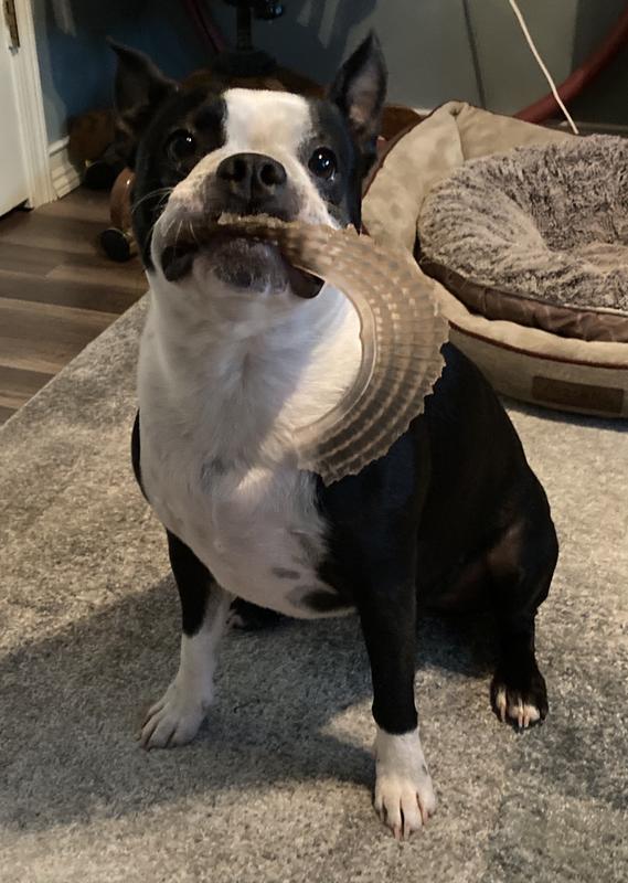 Boudreaux’s frisbee