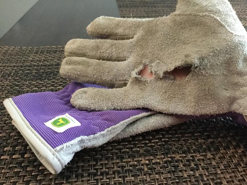 Glove on dominant hand after being worn twice.