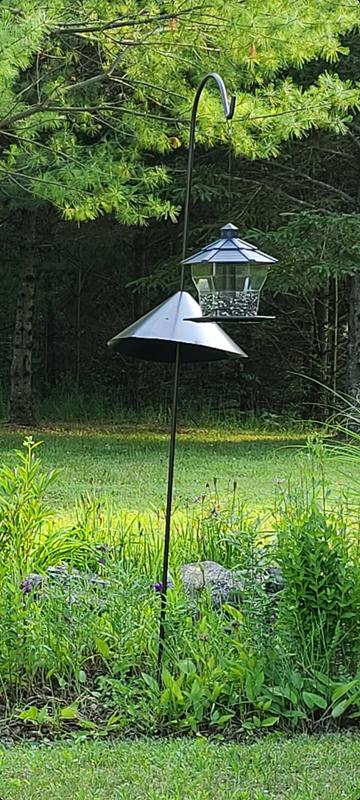 Standing straight up!