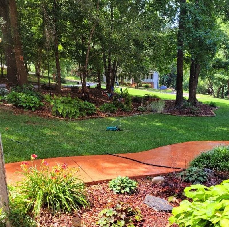 taking a walk in the front yard