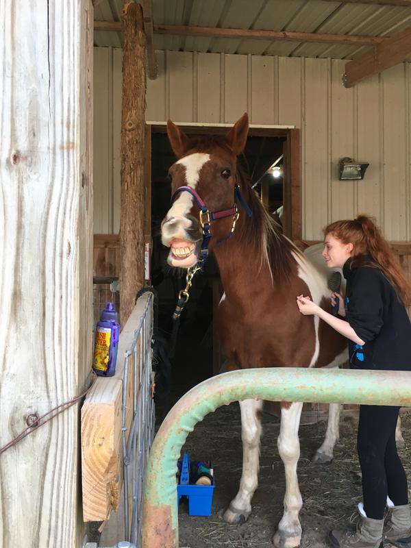 Indy smiles for his favorite cookies!