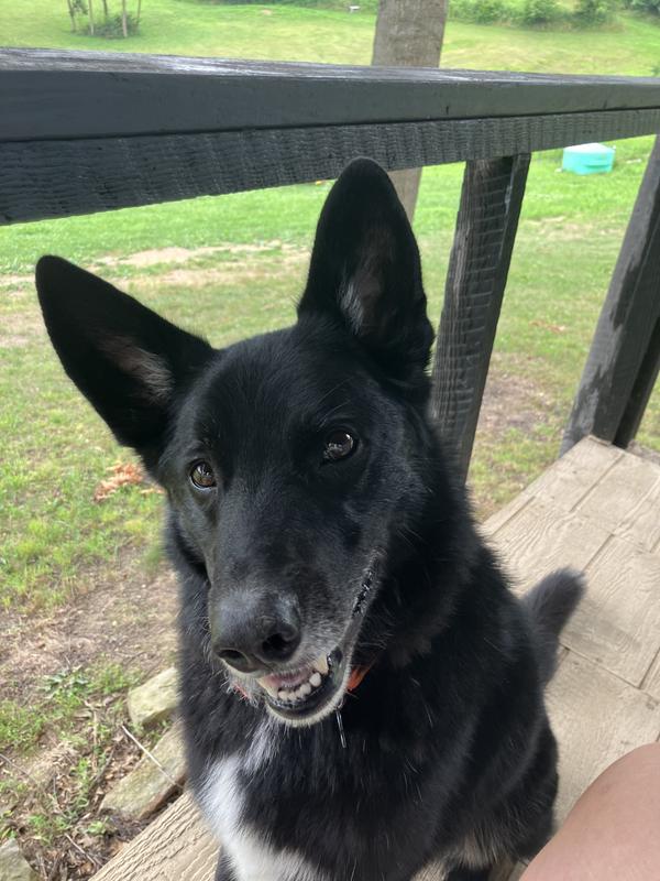 Beau’s beautiful smile and fresh breath!