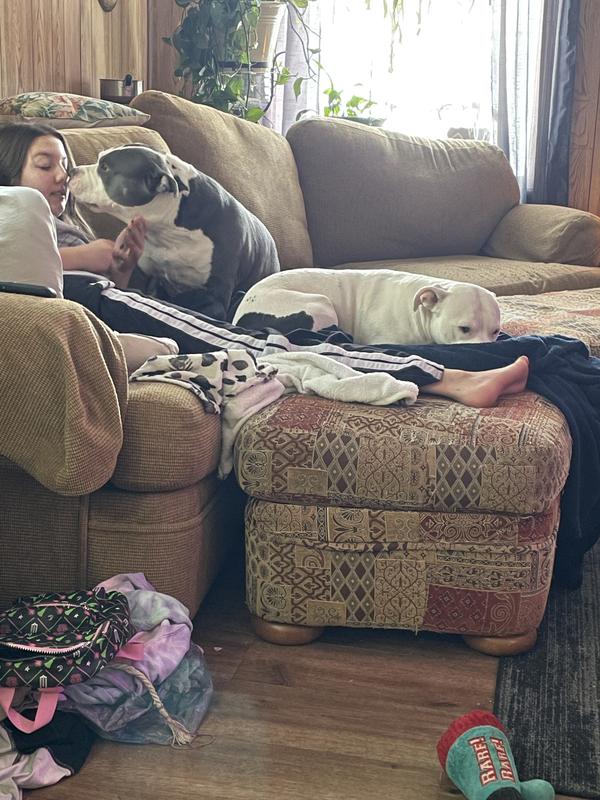 They love the grandkids