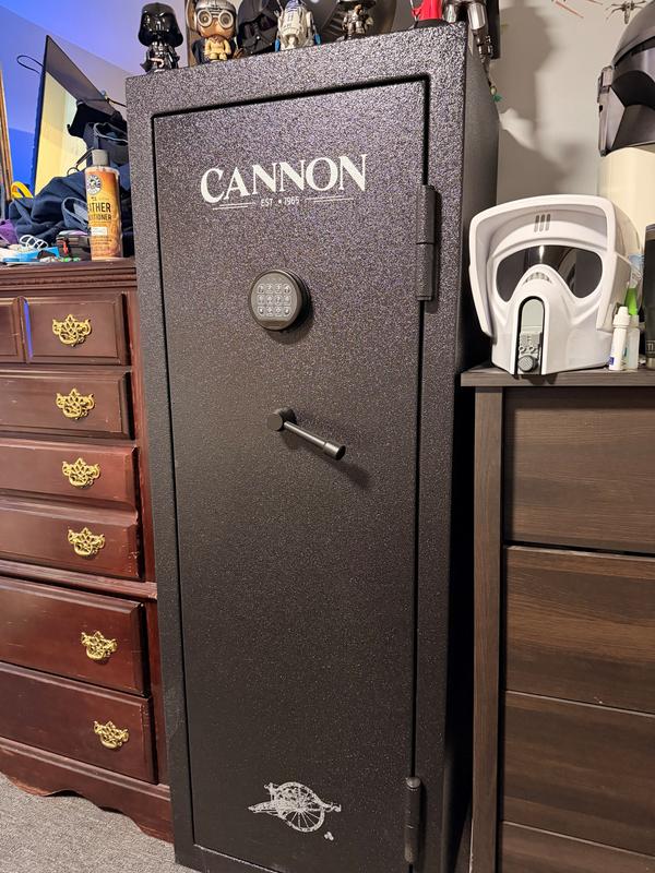 My new gun safe