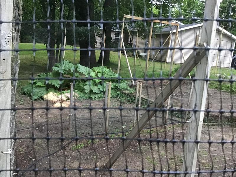 There are also obvious irregularities.