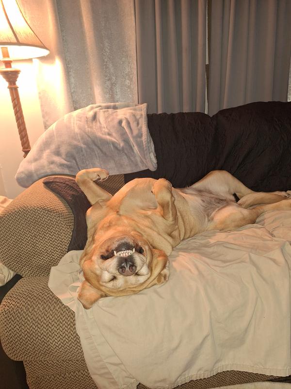 She's a Happy Sleeper!