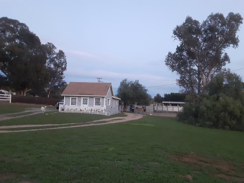 I mowed these weeds on 1 battery charge.