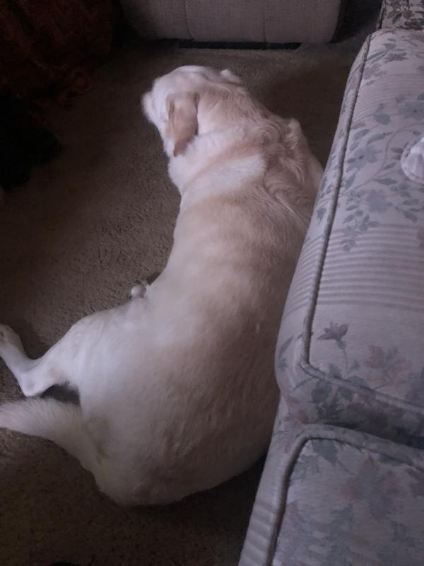 Just relaxing after breakfast!