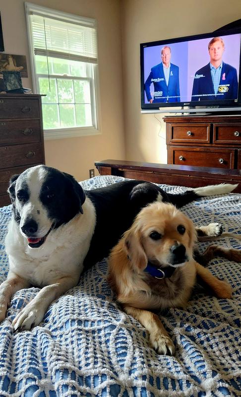 We love riding in the car or hanging out on Dad & Mom's bed!