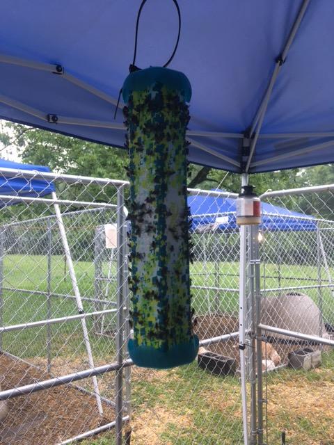 Good to create shade for rescue on foster care and the fly catchers work great too!