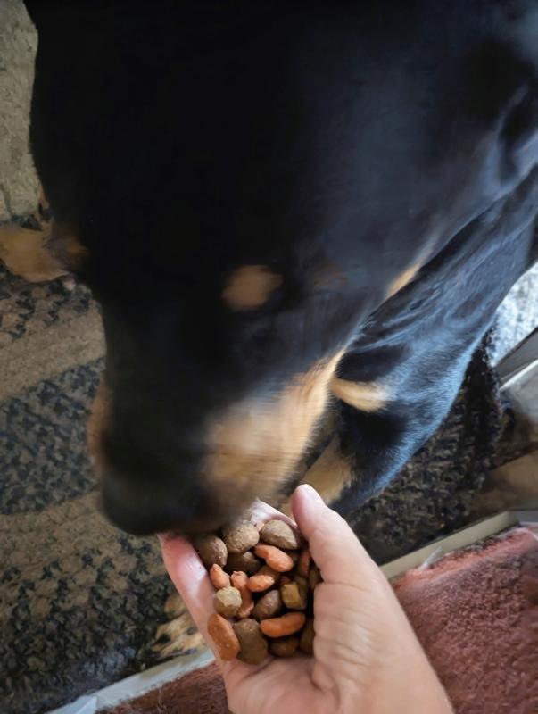 Dottie eating 4 health