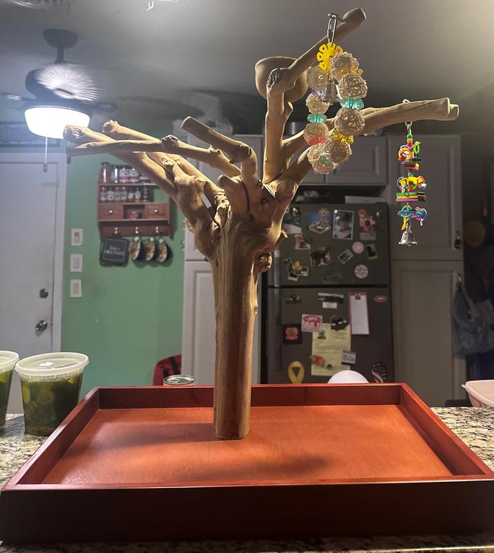 Review photo 2.
