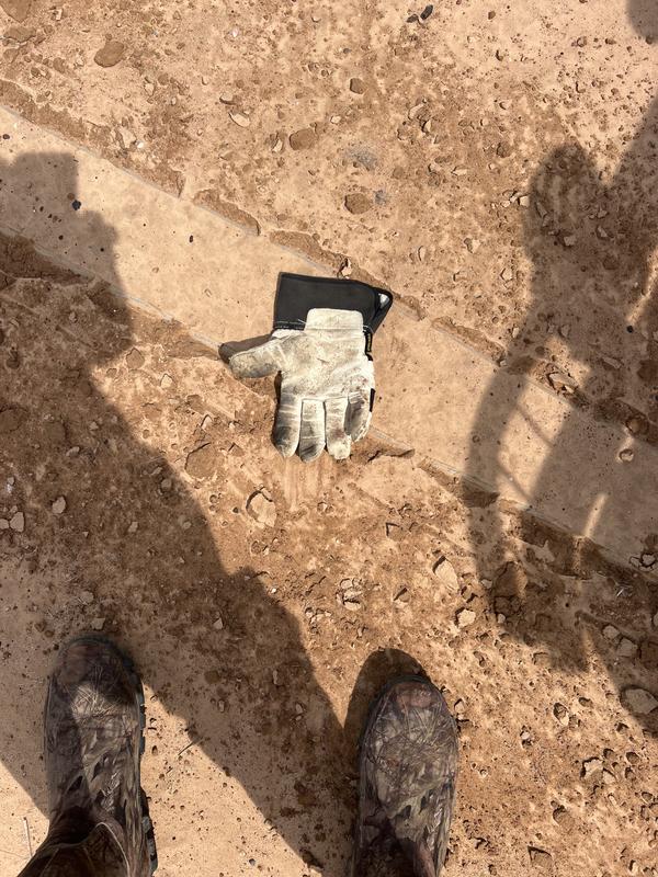 The glove is in the pic to show a frame of reference.