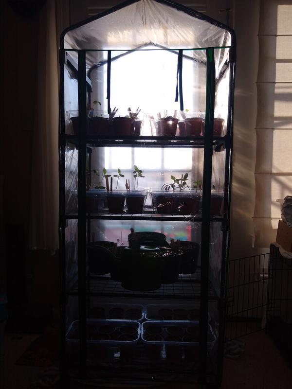 Review photo 2.