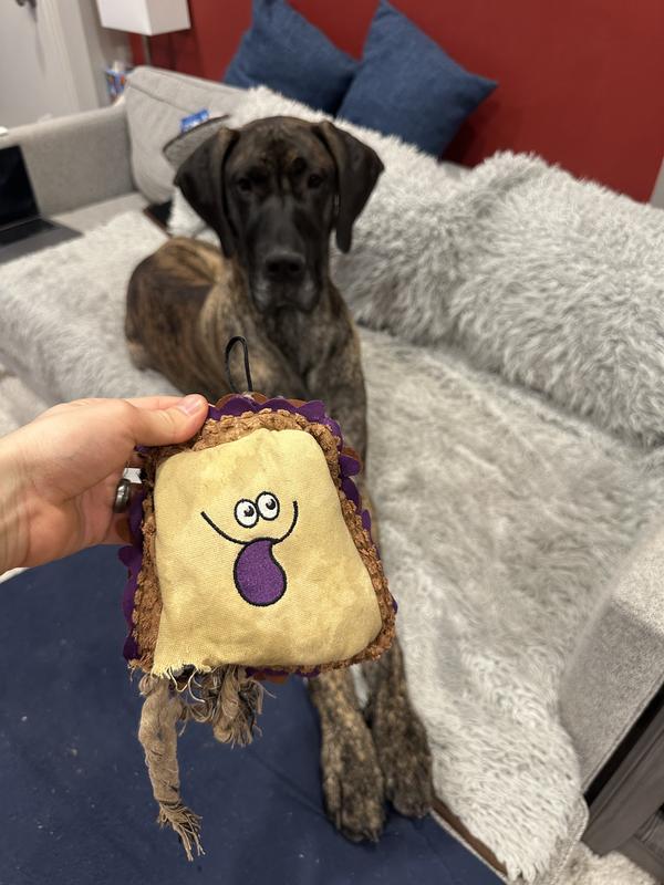 Loved my PB&J!