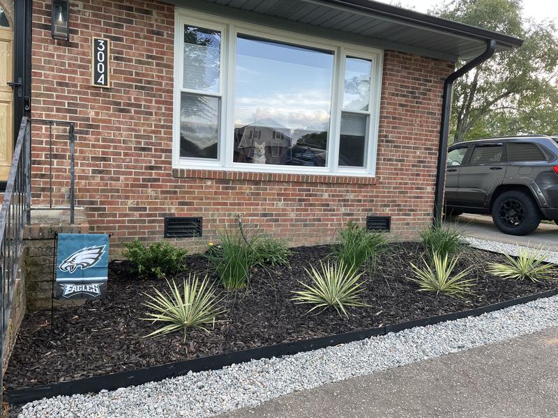 Renovating my house and I am using rocks where I didn’t want grass/weeds in the meantime until I get a new extended driveway & walkways.