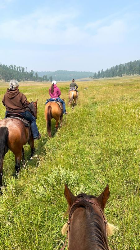 Horses are healthy and shiny!
