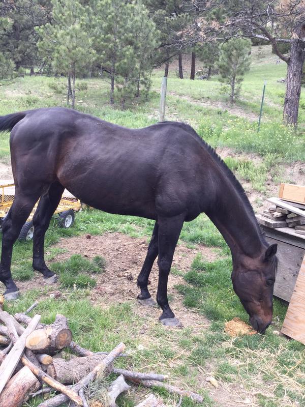 After 2 wks(?) of Opti vitamins, Wow!