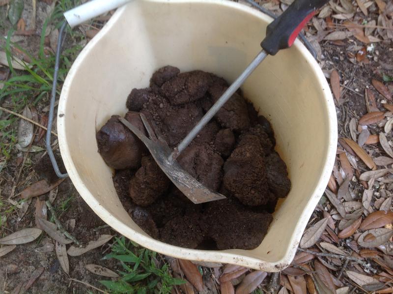 Clumps from two 40lb bags of lime