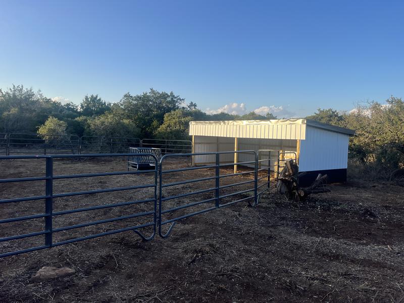 New Loafing shed for long horns with panels
