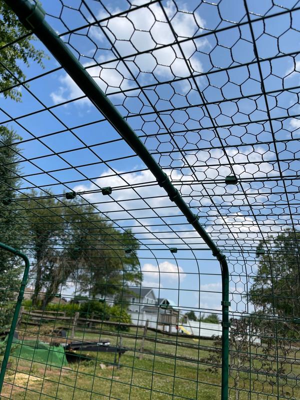 Poultry wire barrier.