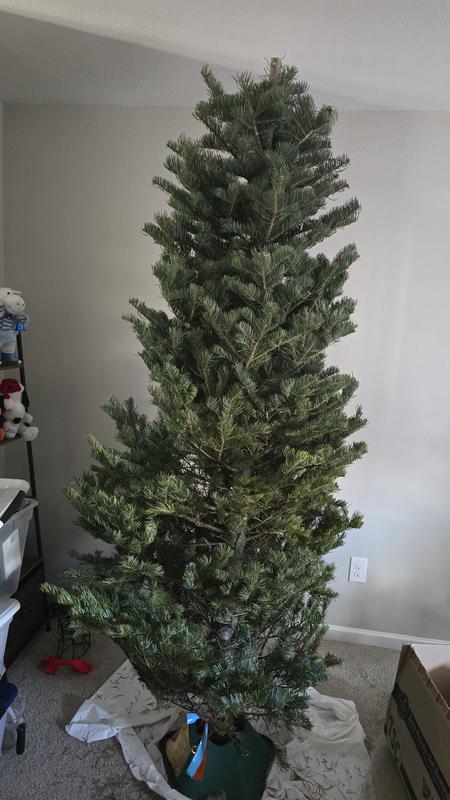 Review photo 4.