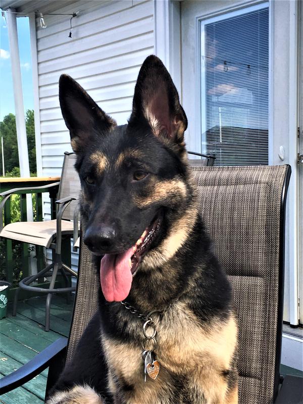 Joining us for lunch