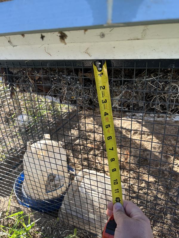 How far the floor bowed before collapsing