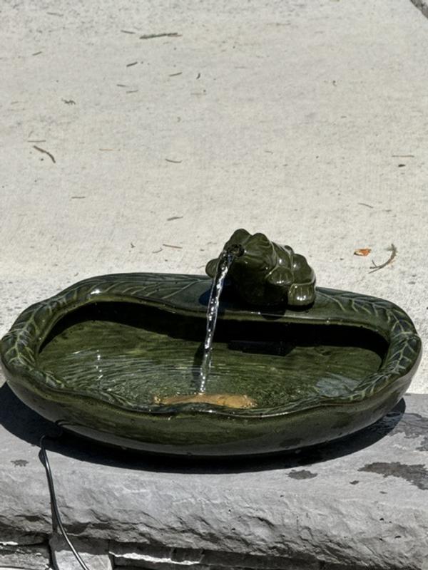 Frog Fountain
