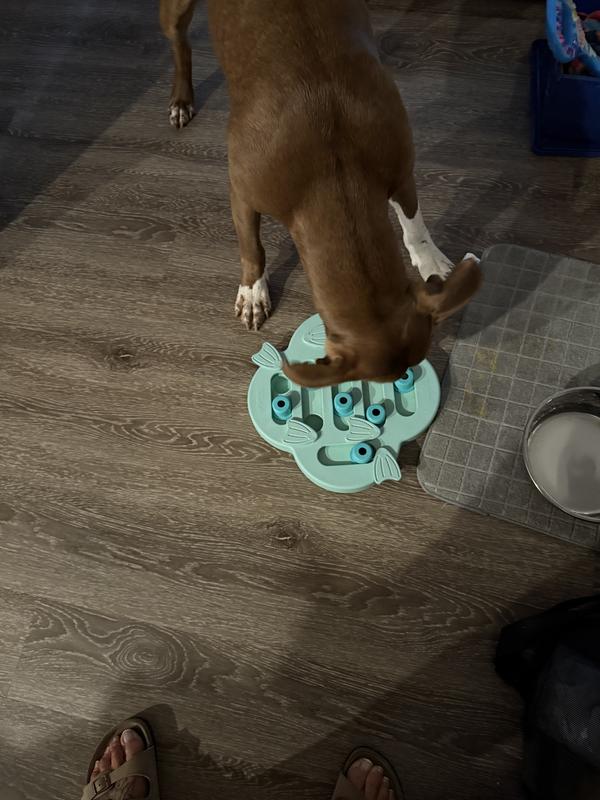 He love his games with his good