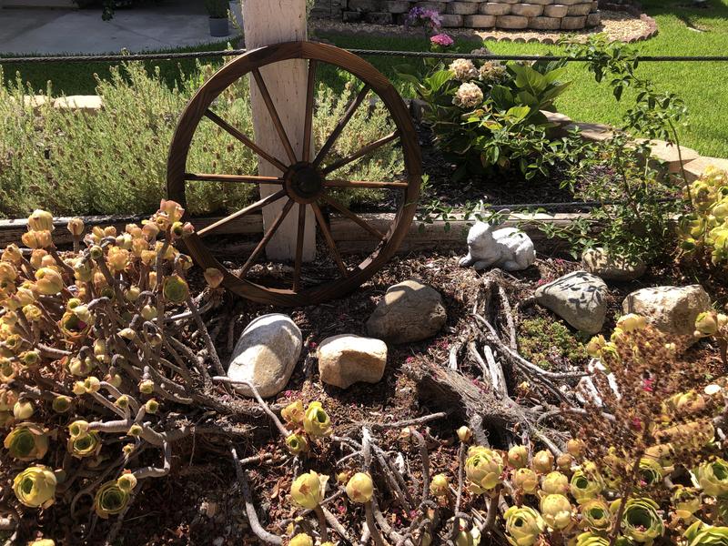 Wagon Wheel