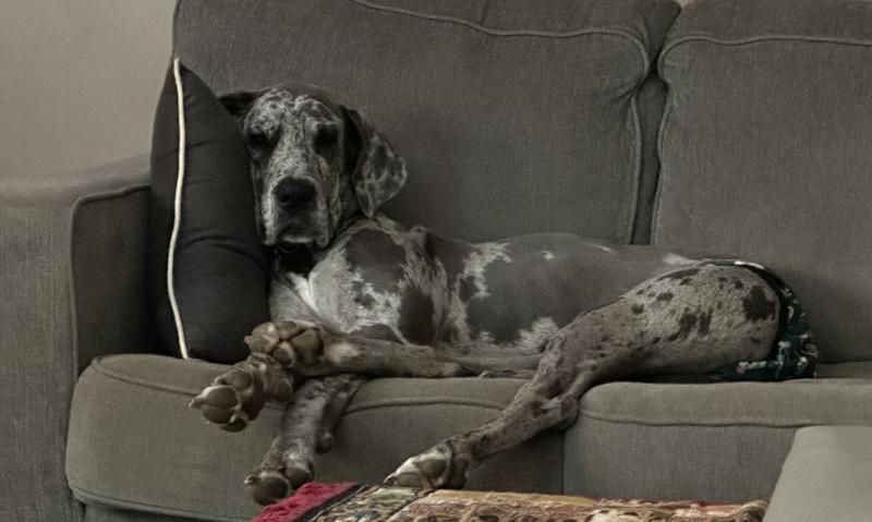 Just chilling