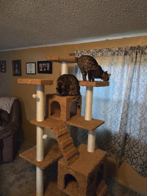 Phoenix and Sheldon our Bengal cats love it, it's the right size for bigger cats!!