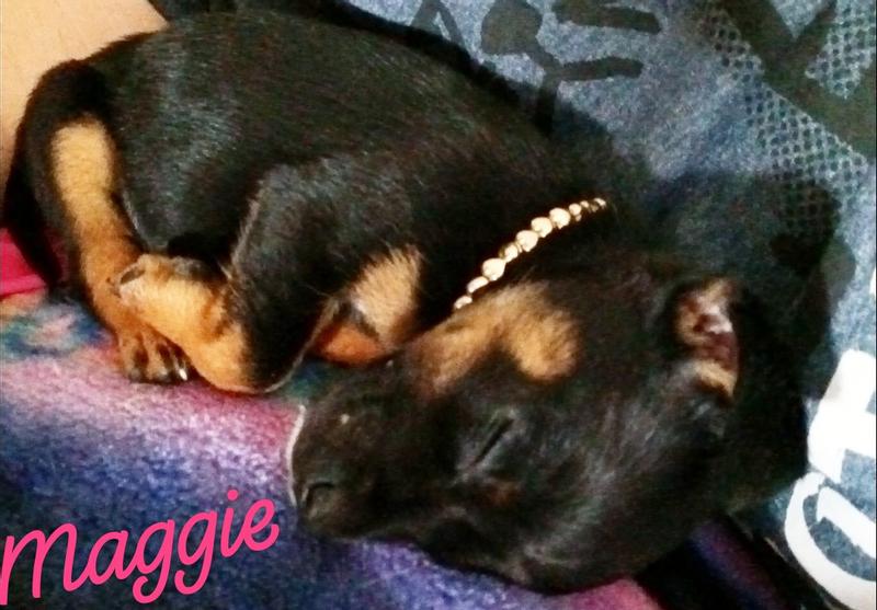 Sleeping beauty!