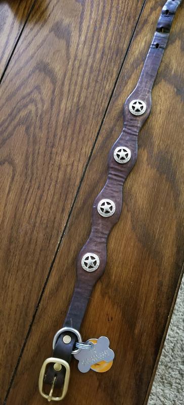 16+ year old collar