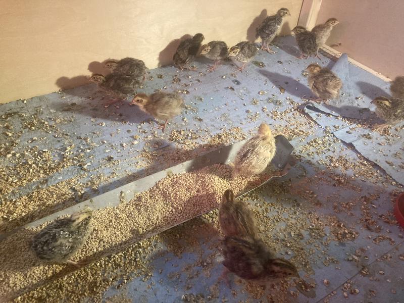 Review photo 8.
