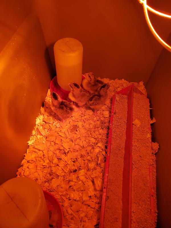 Review photo 8.