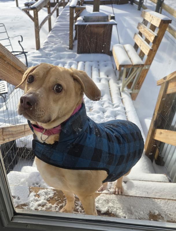 Don't ya know it's cold outside?!