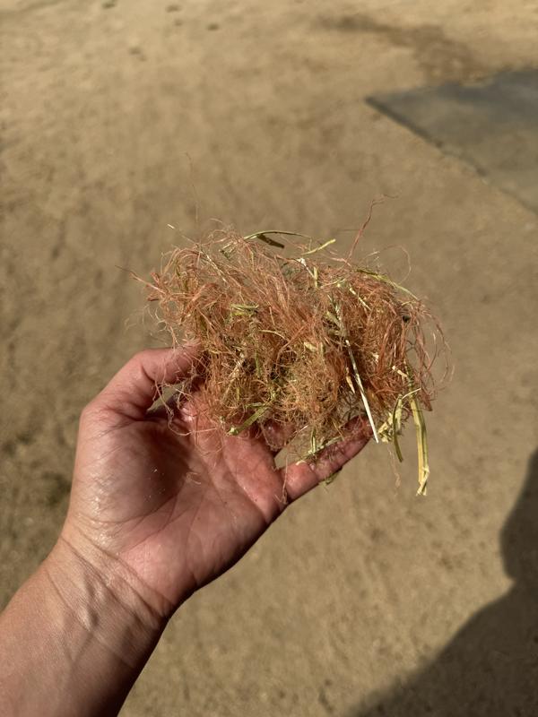 Twine in the bag- one of many