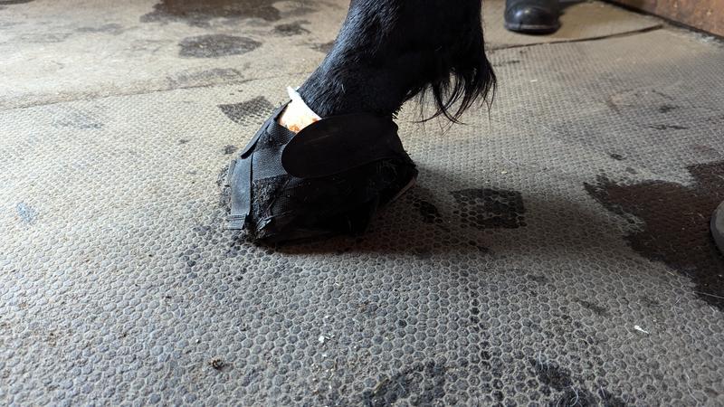 Rewrapped the second day