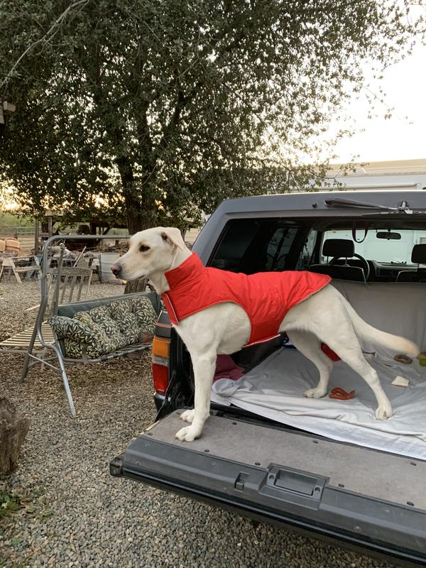 Ready to play!🇺🇸